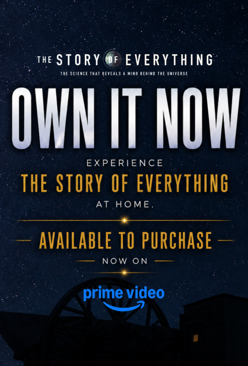 The Story of Everything